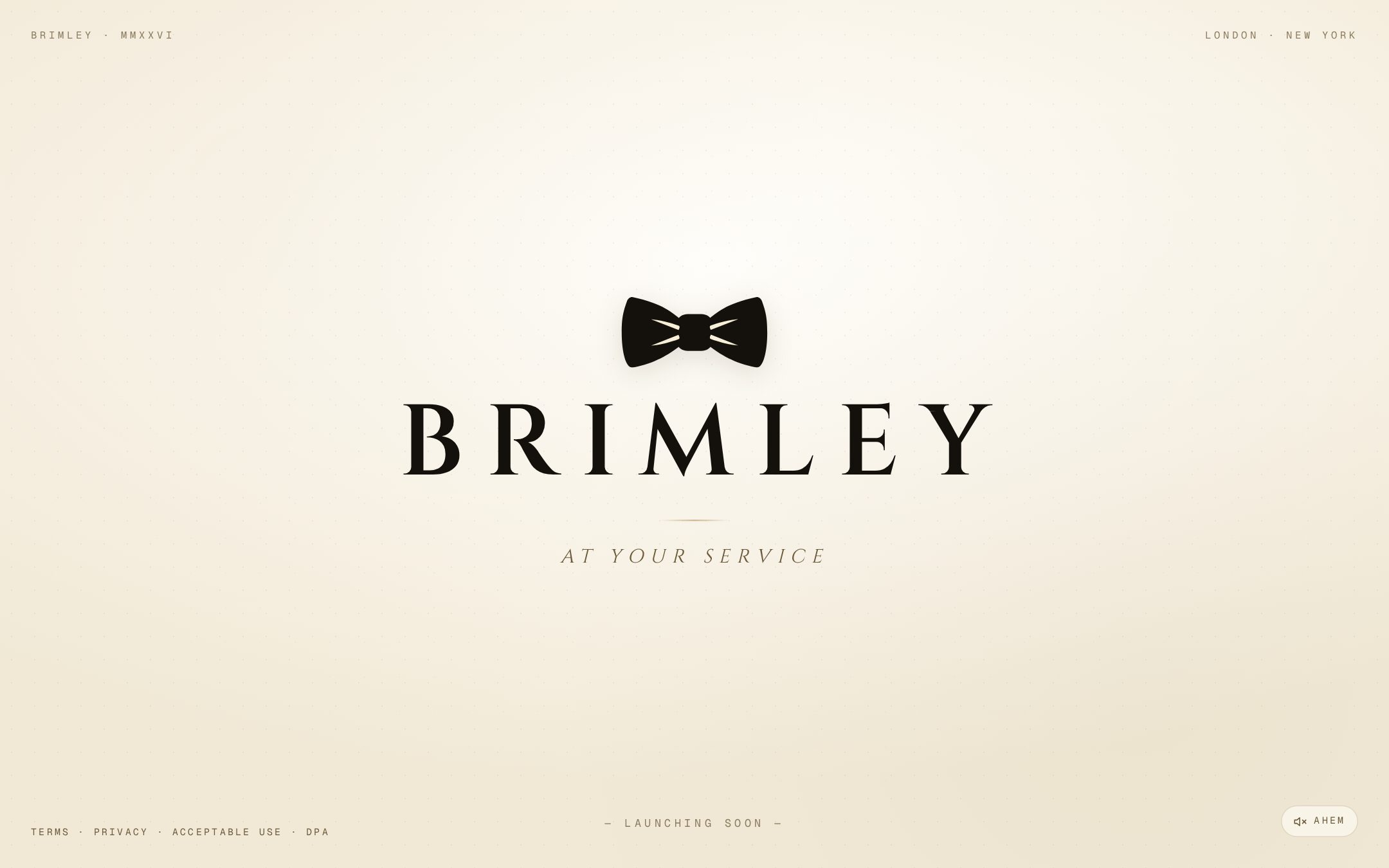 brimley.ai homepage
